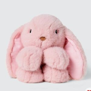 Adorable Pink Plush Bunny